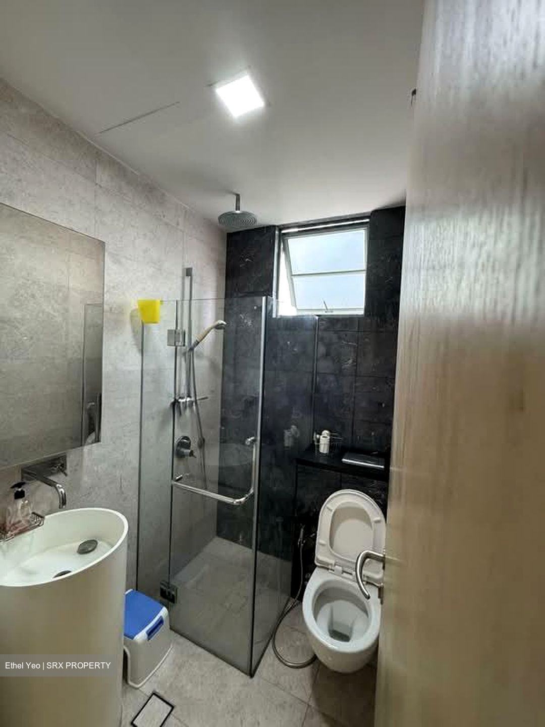 Tanglin Regency (D10), Condominium #547276421